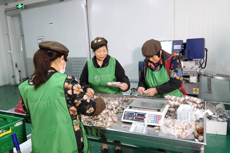 烘焙原料市场动态及批发趋势